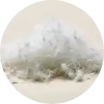 ダウンの画像